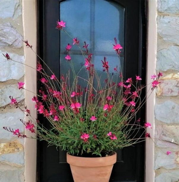 B&B Casa Escondida, Adults Only Alte Exteriér fotografie